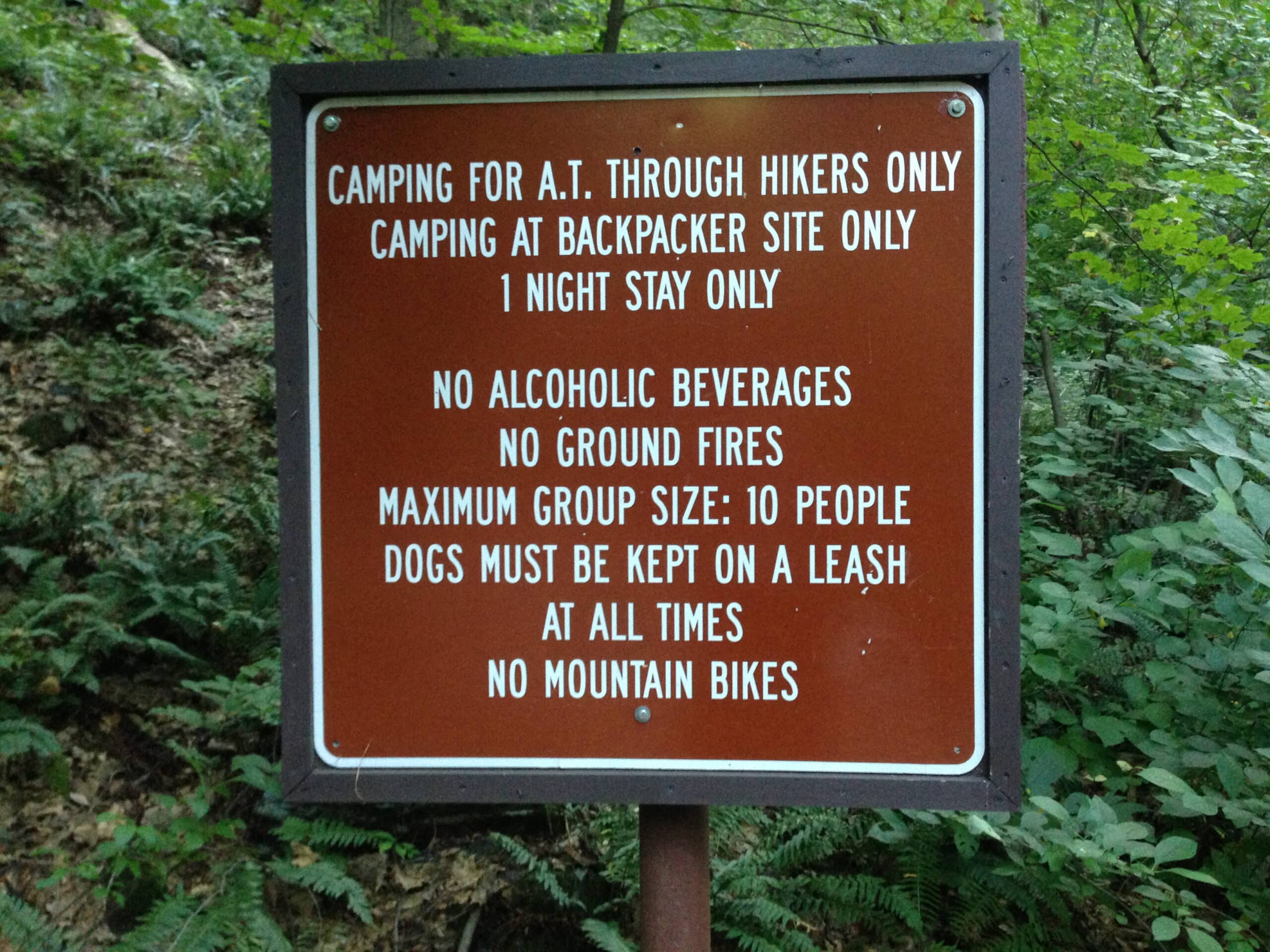 rules